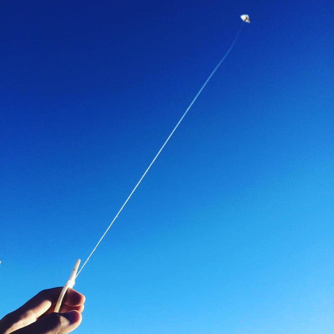 郡島陽子のインスタグラム：「めっちゃ上がった。」