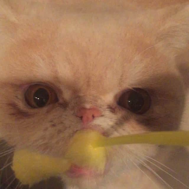 岡野瑞恵のインスタグラム