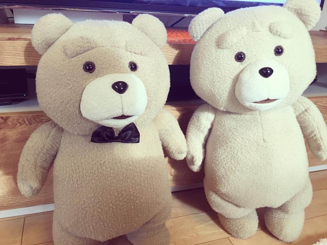 今井絵理子さんのインスタグラム写真 - (今井絵理子Instagram)「good morning😄  #右が去年のTED #左は昨日来た新人」1月6日 9時59分 - erikoimai0922