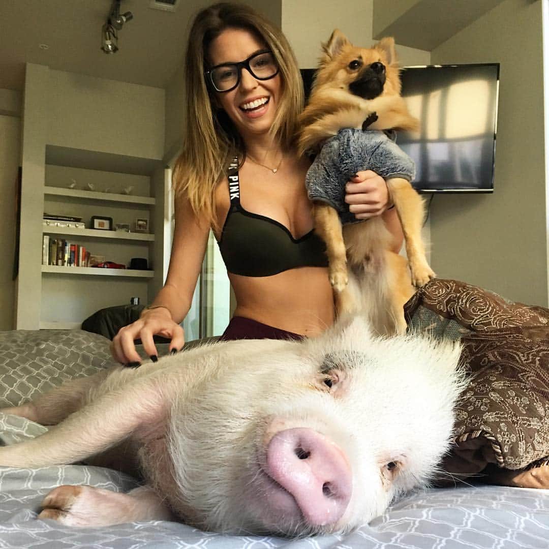 baconのインスタグラム：「I like scratchies from my aunt, they're my favorite. 🐷💁🏼🐺 #bacon #piginablanket #porkchop #howtotranquilizeapig @paige_demoore @pepino_the_puppy」