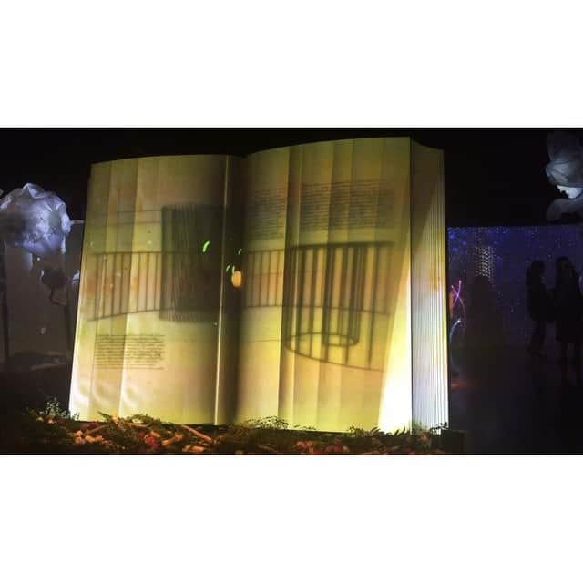 のインスタグラム：「@yuurimorishita Thank you for the invitation👭👏✌️💕🌸 『flowers』 festival It was really wonderful🌸💖💖💖 beautiful art 😘💋💖 #mapping#art#flower#color My school is Ohararyu🌸💖💖💖」