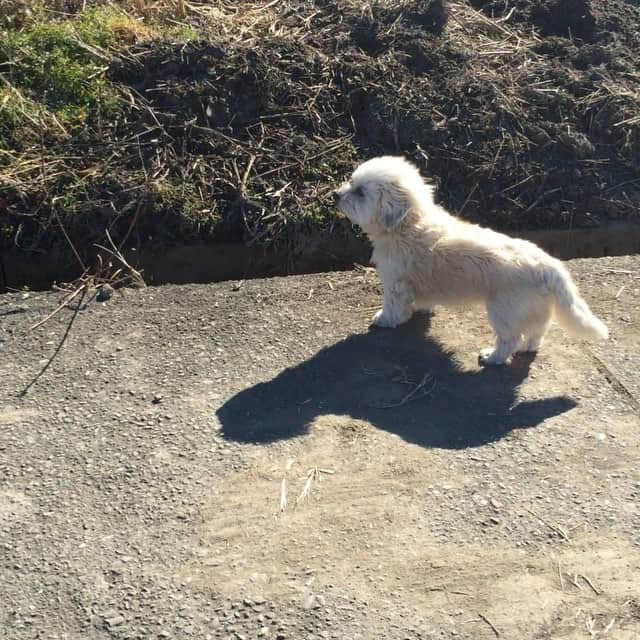 阿久津ゆりえのインスタグラム