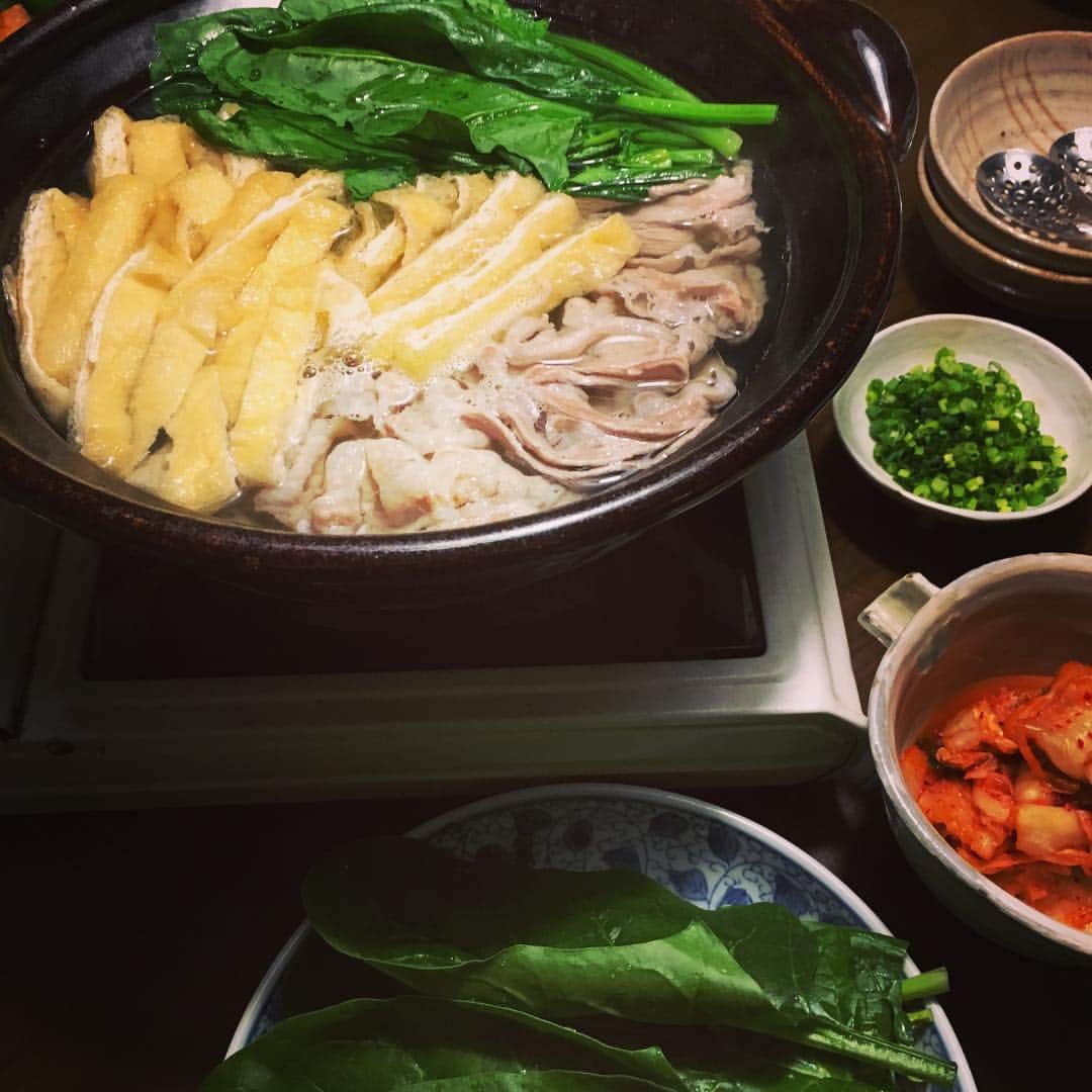 志摩有子さんのインスタグラム写真 - (志摩有子Instagram)「白だしベースで作る常夜鍋。にんにくをひとかけ放り込んで、豚ばら、お揚げ、ほうれん草。さっと火を通してキムチと一緒に食すといくらでもいけそう。 #白だしベース #常夜鍋 #ポン酢で味変 #しめはうどん #白だし鍋」1月14日 20時54分 - ariko418