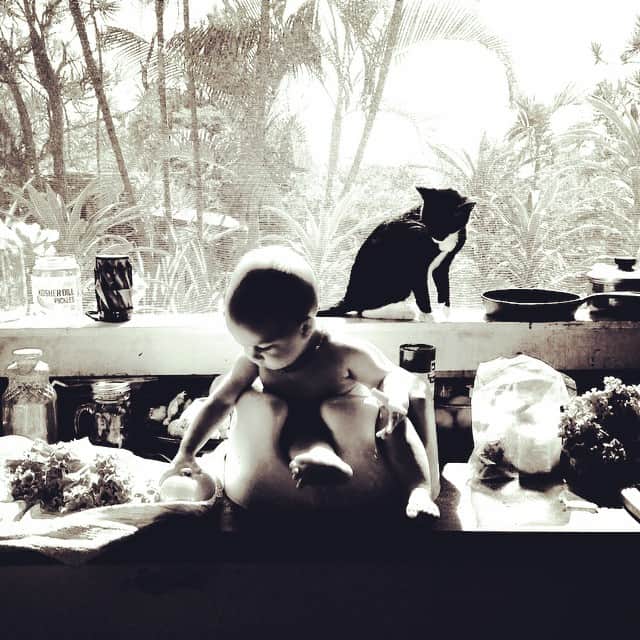 マシュー・セトルのインスタグラム：「❤️👪🐬🌈🌺🌋」