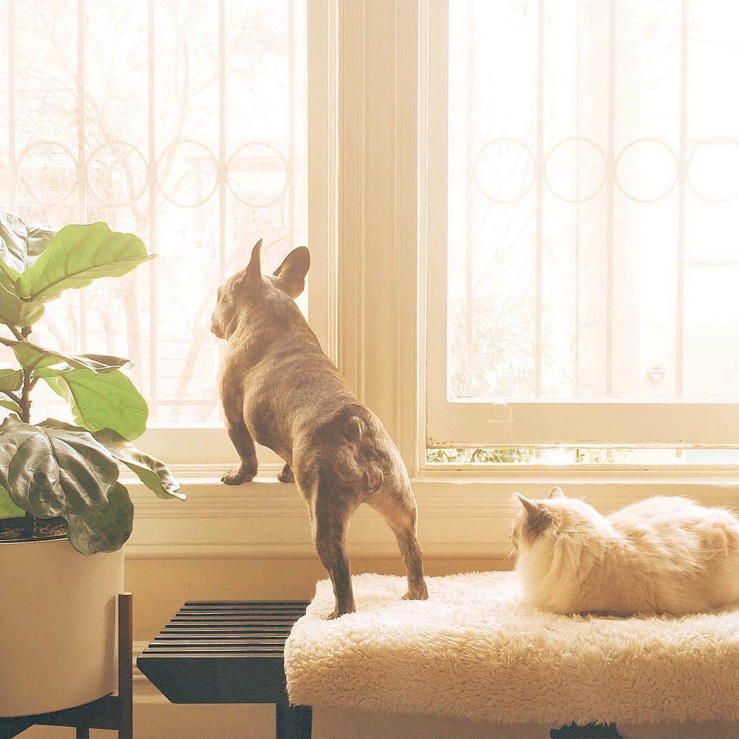のインスタグラム：「New year, same friendship. #unlikelyfriends 」