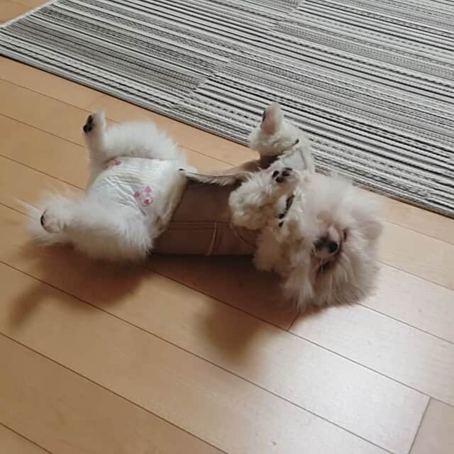 thesoy_yoonsoのインスタグラム