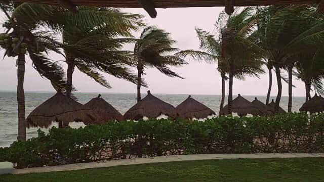 リチャード・ルッコロのインスタグラム：「The answer is in there somewhere #wind #weather #beachtime 」