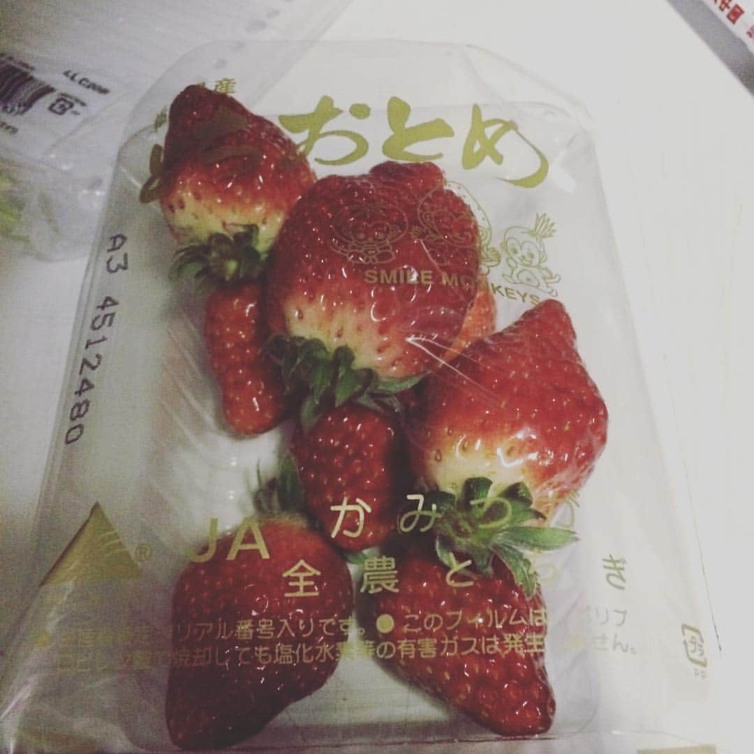 大竹壱青さんのインスタグラム写真 - (大竹壱青Instagram)「今日のお供🍓 とちおとめ❤ 甘甘。 🍓🍓🍓🍓🍓🍓ちょこちょこ 🍓🍓🍓🍓🍓🍓 あっそーいえば生協でもいちごフェアやってた。 🍓🍓🍓🍓🍓🍓🍓🍓🍓🍓 🍓🍓🍓🍓🍓🍓🍓🍓🍓🍓 みなさんは いちごはへたの方から食べますか？ それとも先っちょから食べますか？ 僕は一口で食べちゃいます。🍓」1月18日 23時52分 - issei_gohanpa9pa9