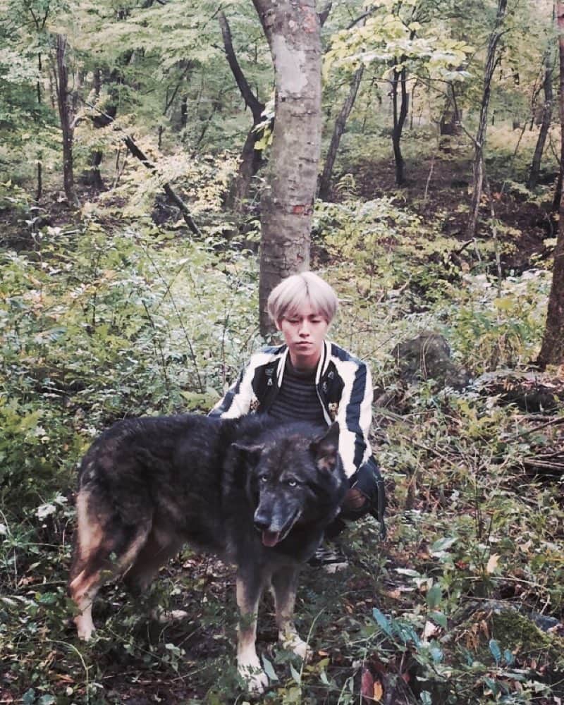 イ・ヒョヌのインスタグラム：「3-4회에 나오는 강아지들 있었잖아요. 눈도 무섭고 몸집도 크고 무서워보였지만 사실 엄청 순둥순둥한 애들이에요. '야크' '소니' '나무' '파도' 그리고 여자 강아지 한마리 있었는데 이름이 기억안난다.. 다들 촬영장에서 엄청 고생하며 찍었는데 멋있게 나와서 다행이다 너무 고생 많았어! 주인아저씨도 너네들때문에 고생많으셨으니 말 잘듣고 애교 늘 피워드리렴** #무림학교 #또보고싶다강아지들왕강아지 #그치만우리엔젤이별이가최고지🐶」