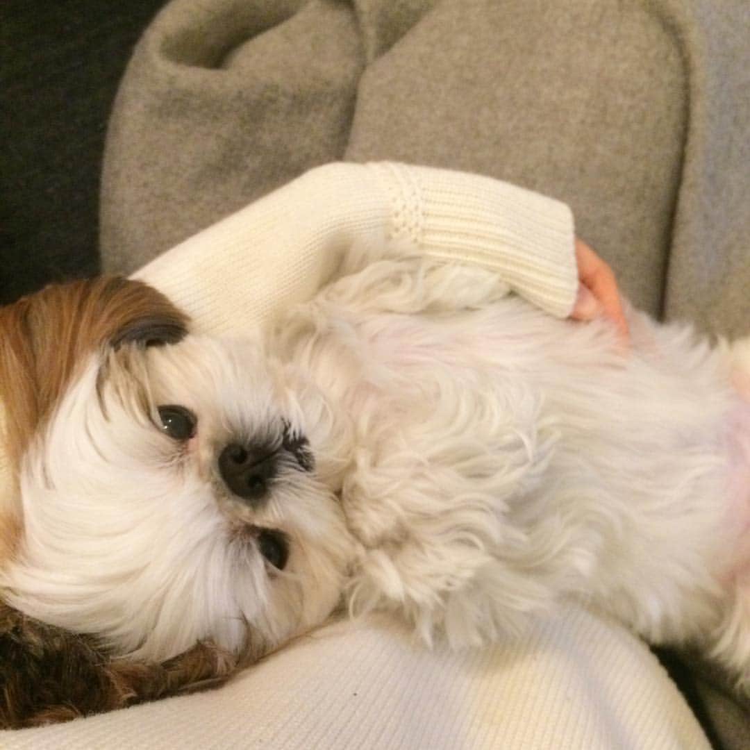 いりこのインスタグラム：「だっこだっこだっこだっこだっこちゃーん♫  って歌いながらの抱っこ。 遠藤関の歌が私の中でブームです。」