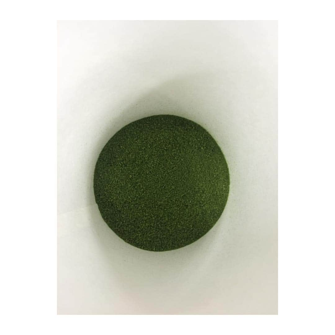 小野寺奈々のインスタグラム：「青汁飲んでスタート🌱  #青汁 #ヤクルト #Kale」