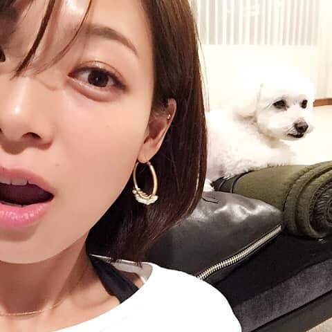 相武紗季のインスタグラム：「みゅーとまったり✨」