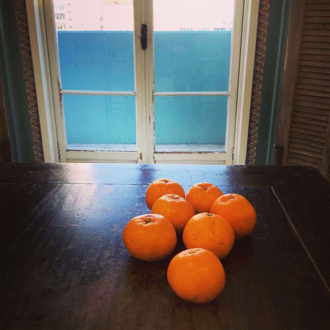 志摩有子さんのインスタグラム写真 - (志摩有子Instagram)「今日は湾岸のスタジオ。湯河原から届いたはるみちゃん🍊🍊を差し入れに。 #classy_magazine  #shooting #はるみ」1月27日 9時59分 - ariko418