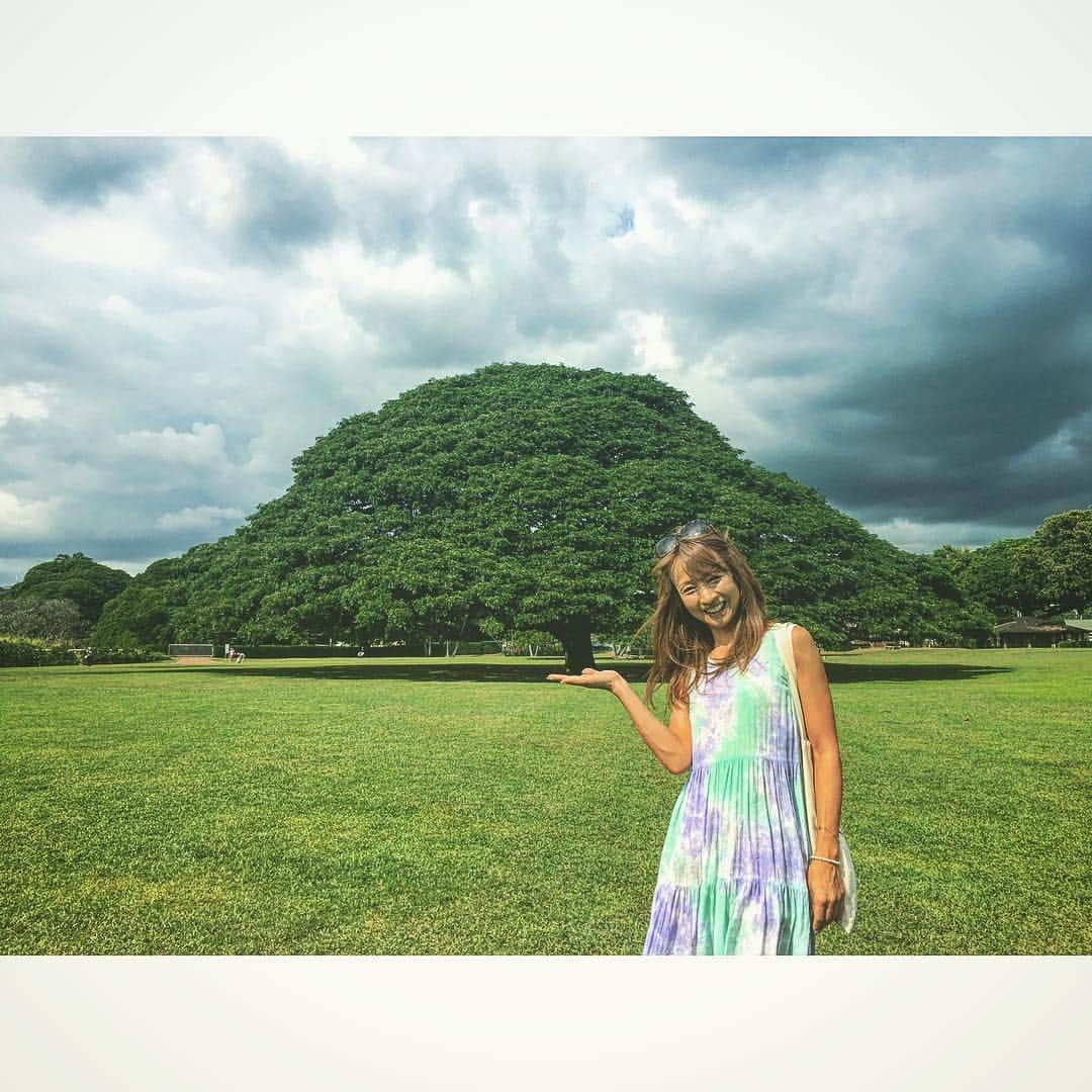 花田美恵子のインスタグラム