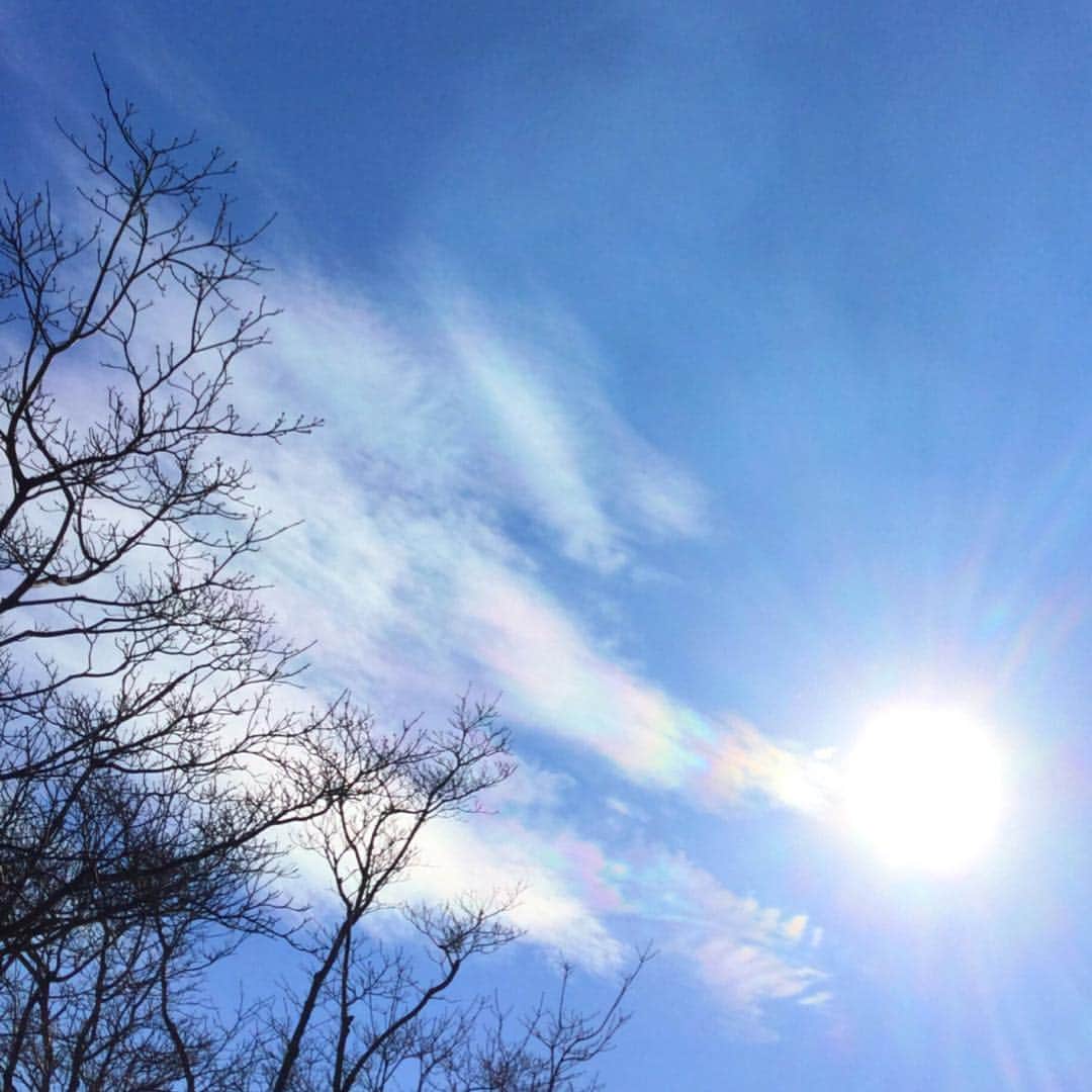 鈴木蘭々さんのインスタグラム写真 - (鈴木蘭々Instagram)「彩雲👀✨    #彩雲  #雲とのコラボで隕石みたい #空の荘厳」1月27日 20時20分 - lanlan_suzuki