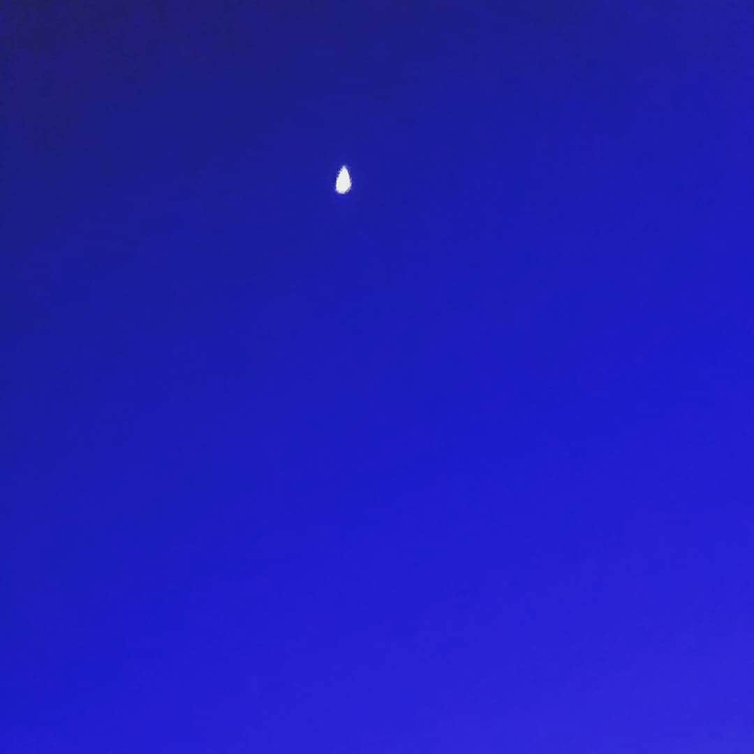 初芽里奈のインスタグラム：「🌙」