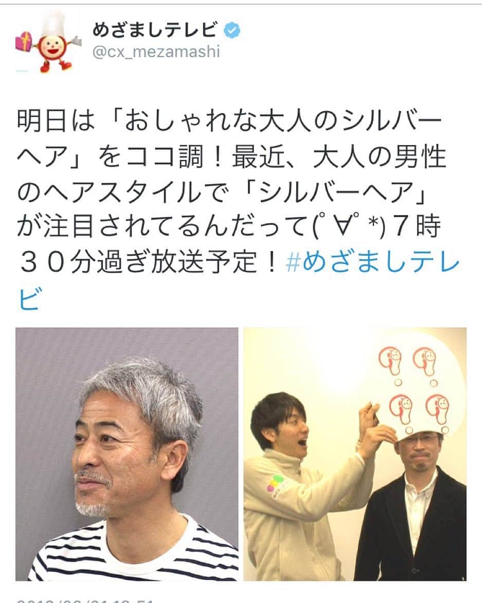 シルバーアッシュ公式アカウントのインスタグラム：「明日(2/2) 朝7:30〜めざましテレビ[ココ調]のシルバーヘア特集にて、シルバーアッシュが紹介されます！ぜひご覧ください！#silverash #シルバーヘア #シルバーアッシュ」