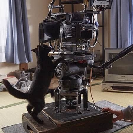 映画『猫なんかよんでもこない。』のインスタグラム：「猫よん。ブログ最終回をアップ！ 【猫よん。ブログ】2月3日　「届いて欲しい贈り物」 http://www.nekobu.com/blog/2016/02/post-847.html  監督の言葉にかなりウルっと来てしまいました。。 #映画 #猫なんかよんでもこない #2016年１月公開 #風間俊介 #つるの剛士 #松岡茉優 #市川実和子 #nekoyon #猫 #cat #movie #eiga #love #cute #pretty #smile #ネコ #ネコ部 #cats #猫よん #SCANDAL #杉作 #つるの剛士」