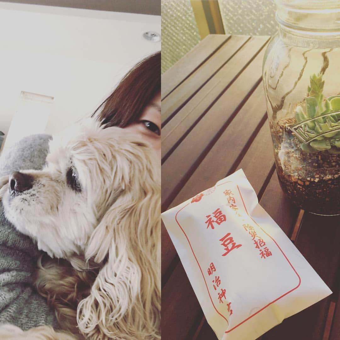 笛木優子のインスタグラム：「鬼は〜〜外 福は〜〜内。 お願いします。お願いします笑👹🌻」