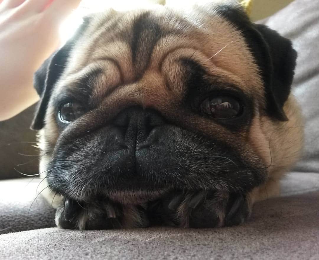 Nolaのインスタグラム：「😪💕」