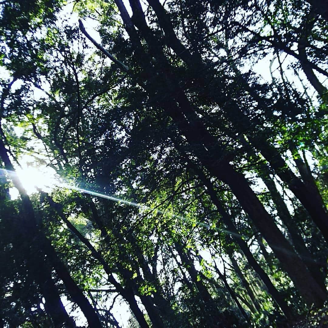 初芽里奈のインスタグラム：「🌱🌱🌱🍀🌿🍃」