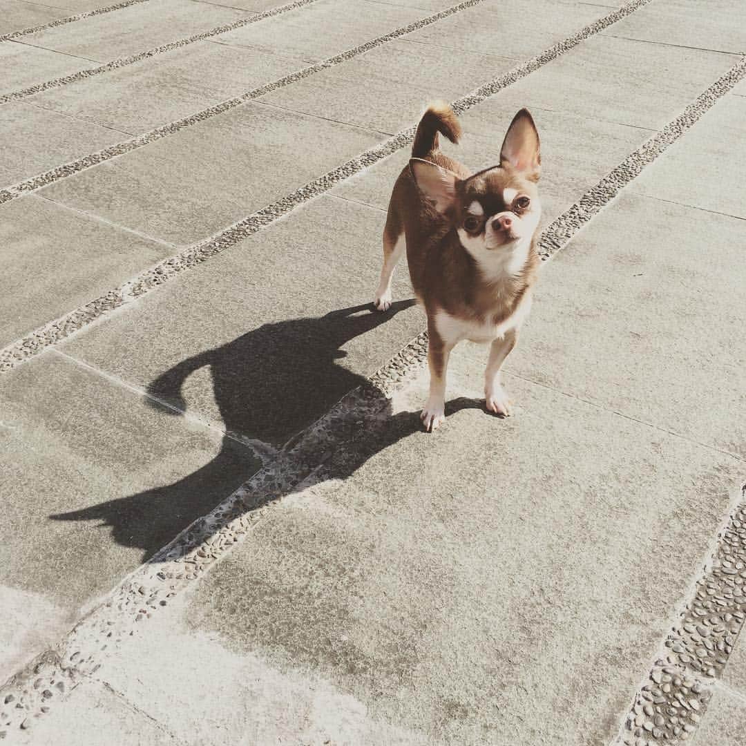 Myeのインスタグラム