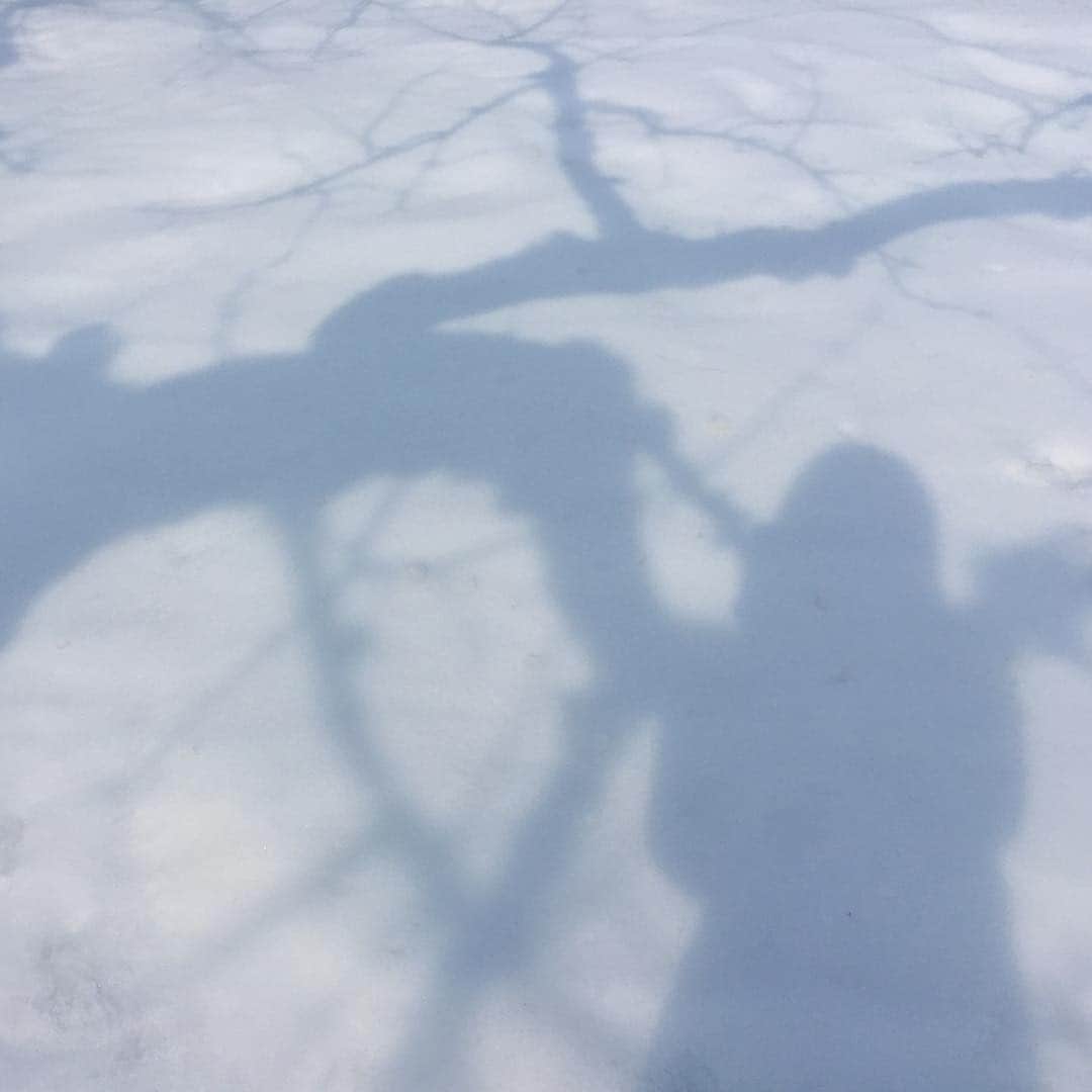 矢島里佳のインスタグラム：「aeruの新たな動画撮影のために弘前へ。雪に映るりんごの木と共に。 #aeru #リンゴ #hirosaki #雪 #aomori」