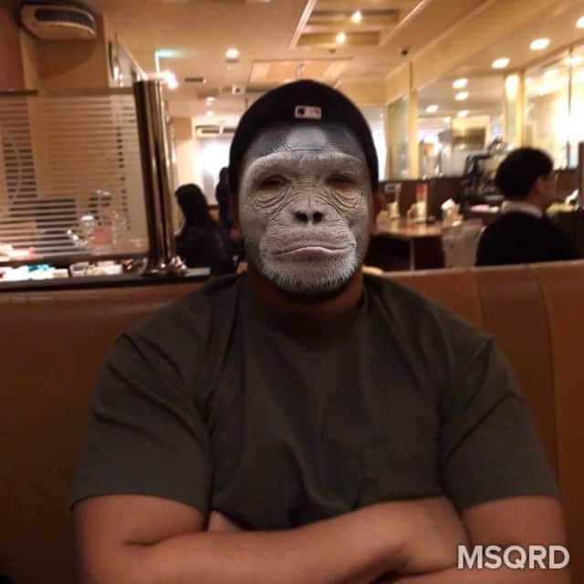 山中亮平のインスタグラム：「たけしやっぱりゴリラの息子やった。 #木津武士 #木津ゴリラ #あんまり変わらん #MSQRD #動画やシリーズ #夜カフェ #バックの音楽と合ってない」
