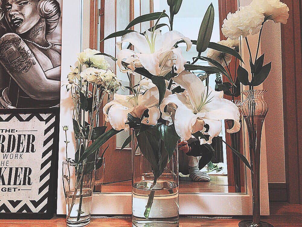 藤本紫媛さんのインスタグラム写真 - (藤本紫媛Instagram)「white flower boom💫. #flannelflower#Ranunculus#Siberia#shionfujimoto」3月12日 17時06分 - paars_purple