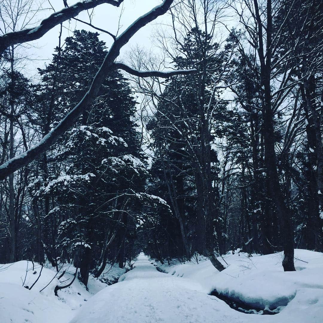 相武紗季のインスタグラム：「雪の道をひたすら進んだ1日。いい日だった〜✨✨」