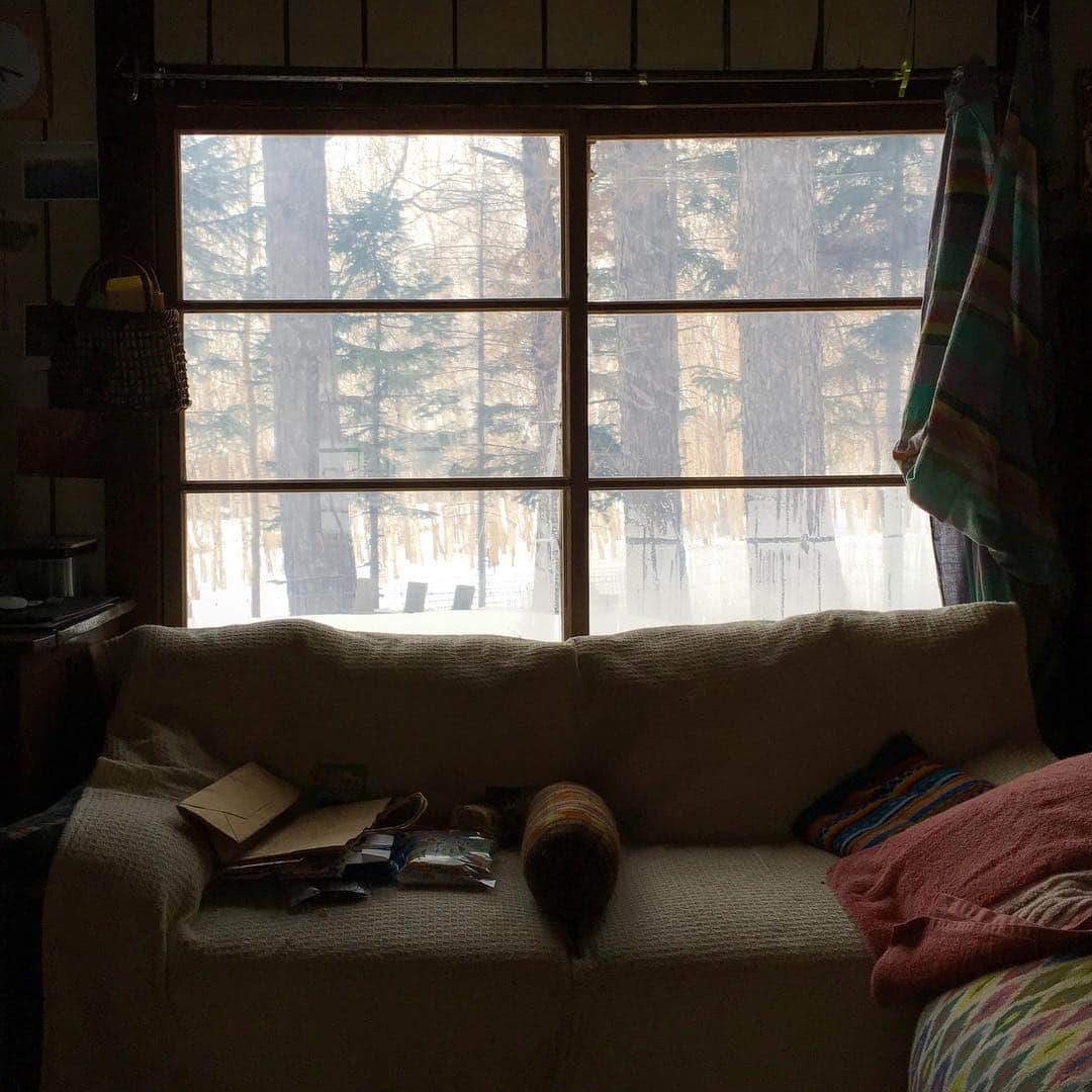 奈良美智のインスタグラム：「I'm in Shari town, Hokkaido now. it's not so cold and there are some deers outside, hope no bear.」
