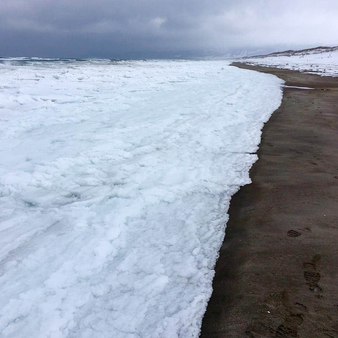 奈良美智のインスタグラム：「Ikushina beach is covered with floating ice from Sakhalin.  #shari  #hokkaido」