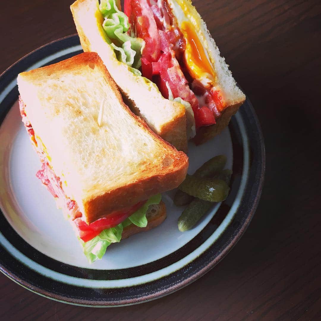 志摩有子さんのインスタグラム写真 - (志摩有子Instagram)「午前中に原稿を仕上げてお昼はシティベーカリーの角食でサンドイッチ。ベーコンレタストマトに半熟の目玉焼きも加えたBLTE。トマトにひと塩するのと卵を柔らかくしすぎないのがポイント。シティベーカリーの角食はちょっぴりイギリスパンっぽい感じでトーストするといい感じ。 #citybakery #シティベーカリー #角食 #サンドイッチ #BLTE #腹ぱん」2月22日 13時50分 - ariko418