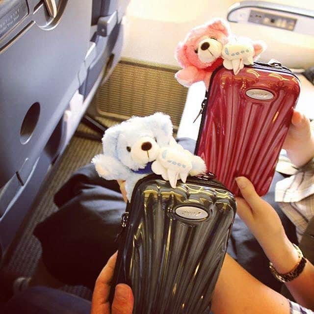 ANAのインスタグラム：「#クマ #フライトベア #ぬいぐるみ #ぬい撮り #サムソナイト #機内 #inflight #samsonite #teddybear #ana_jp」