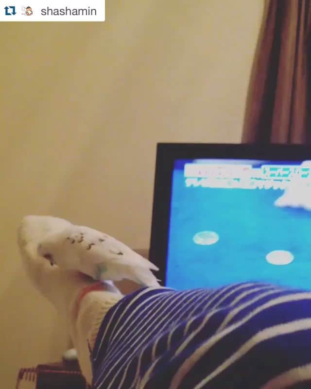 小沢健二のインスタグラム：「#Repost  @shashamin LONGJOHN & Inko」