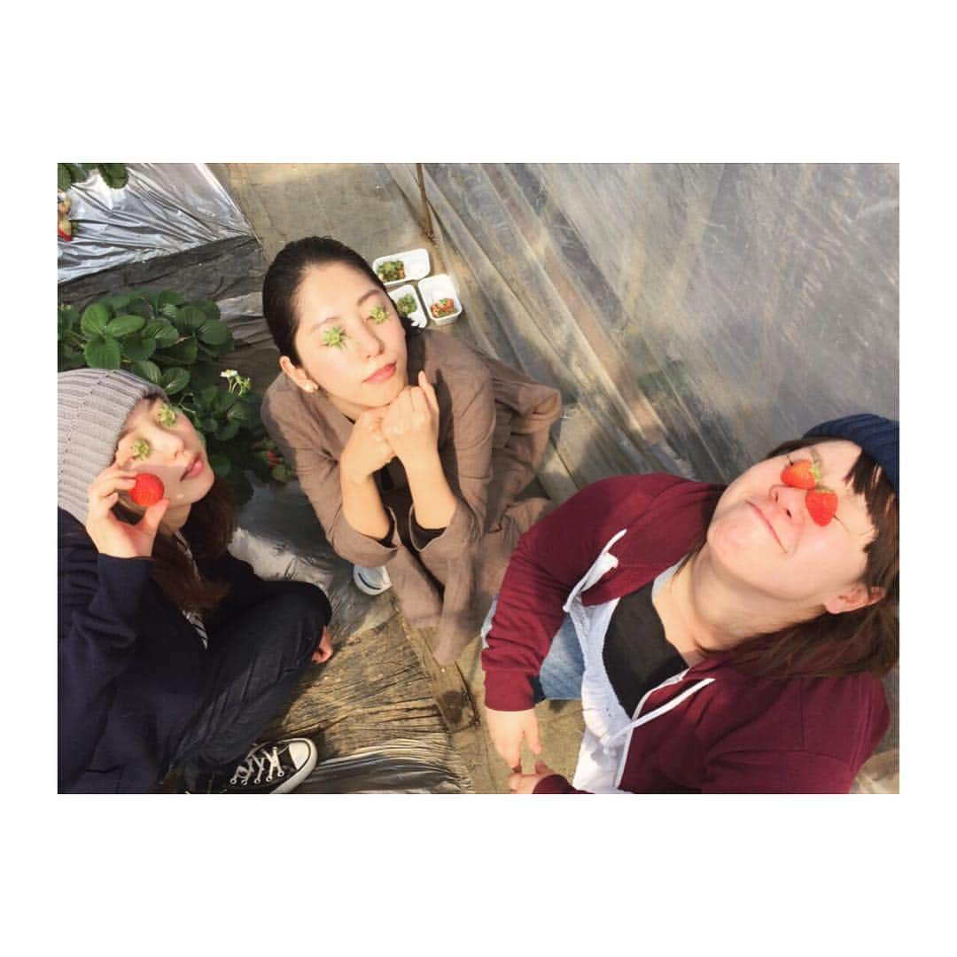 小野寺奈々さんのインスタグラム写真 - (小野寺奈々Instagram)「この時期、毎年恒例行事🍓🍓   まどか55個 みわ不明 なな22個 たくま50個  #StrawberryPicking」2月28日 23時32分 - dera0724