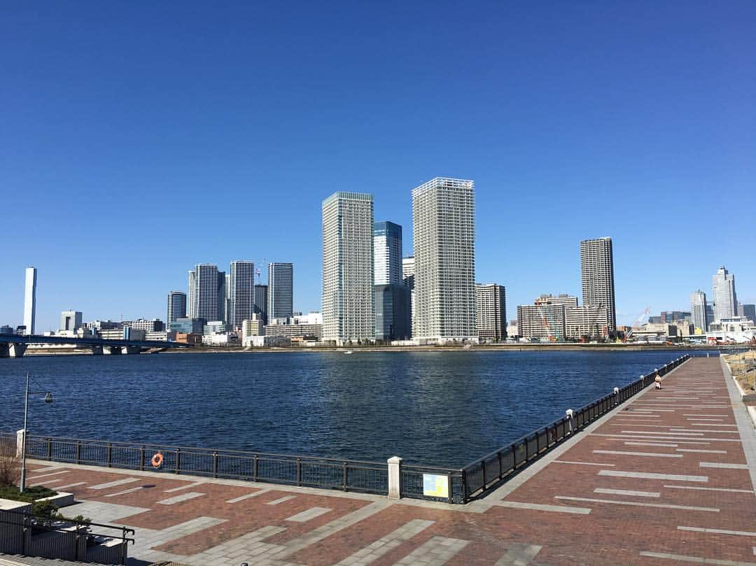 松宮義仁のインスタグラム：「今日の仕事は豊洲からスタート！いい天気です♪(´ε｀ )  #tweegram #photooftheday #amazing #InstaTagIos #followme #look #instalike #picoftheday #food #instadaily #like #iphoneonly #instagood #bestoftheday #instacool  #webstagram #style  インスタ活用法はこちら→ @socialzine777」