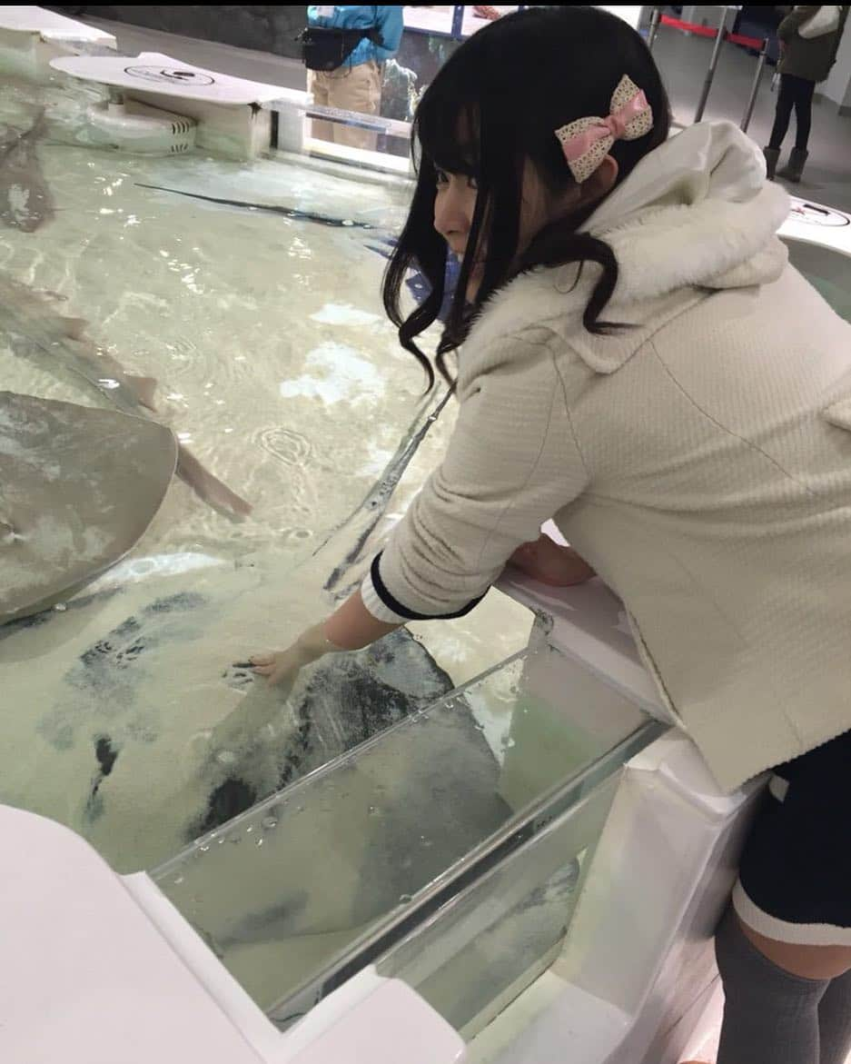 彩乃ななさんのインスタグラム写真 - (彩乃ななInstagram)「#海遊館 #はじめて #エイ触った #ヌメヌメ #楽しかった」3月2日 2時27分 - ayano_nana1203