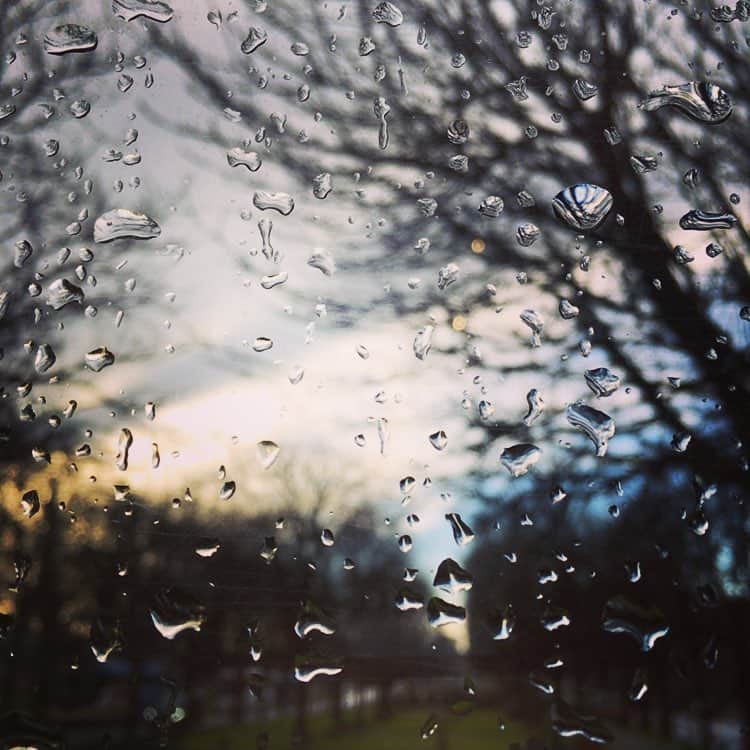 高圆圆のインスタグラム：「after snow」