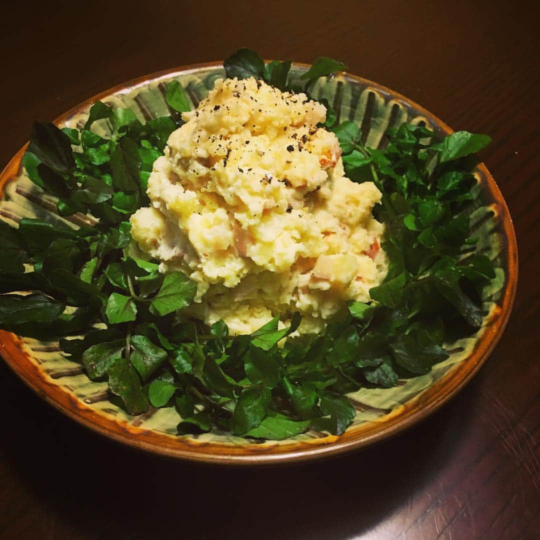 志摩有子のインスタグラム