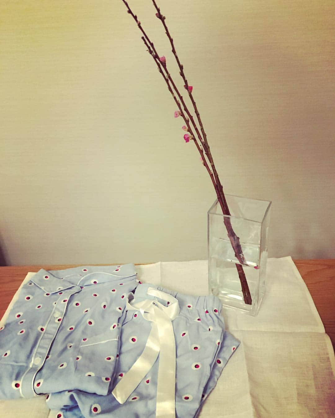 笛木優子のインスタグラム：「ひな祭り🎎  女の子の日ですね🎀  女性らしい。。。って言われたことほとんどありましぇん。 男らしい、男前、、男気、、笑  女性らしくなろうととりあえずパジャマを新調しました笑 トレーナーにスウェットじゃだめですよね😅  普段、このひと素敵な人だなあと思うとみんな女性らしい。本当に。 #ひな祭り #パジャマ #桃の花」