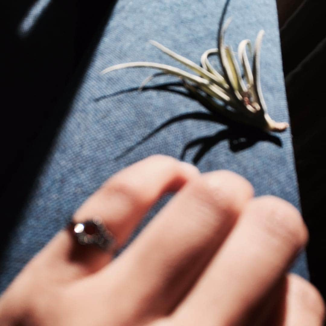 リザ べラチュウのインスタグラム：「Reminds me of a film ; Motel / Arizona / Desert 🎞☀️🌵💍 18k black gold with blue sapphires  #ring #fashion #jewelry #fashionphotography #fashion #fashionista #magicwindow #lizabelachew #blackgold #swag #リザベラチュウ #リング #ファッション #ジュエリー」