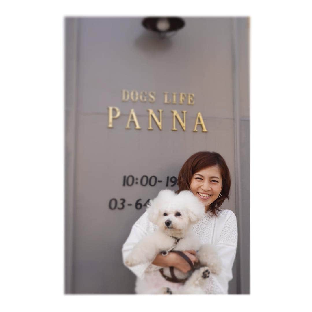 Dog's Life PANNAのインスタグラム