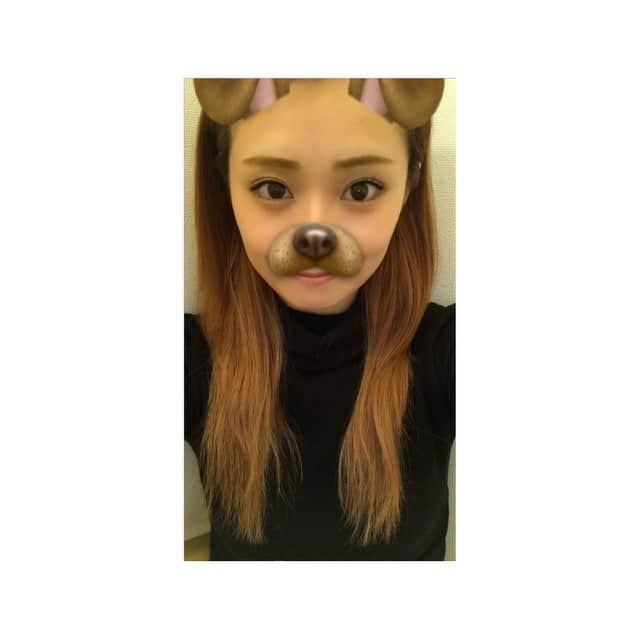 藤綾乃のインスタグラム：「寝れぬぬぬー🐶🐾💤 #Snapchat#スナップチャット#スナチャ#犬」