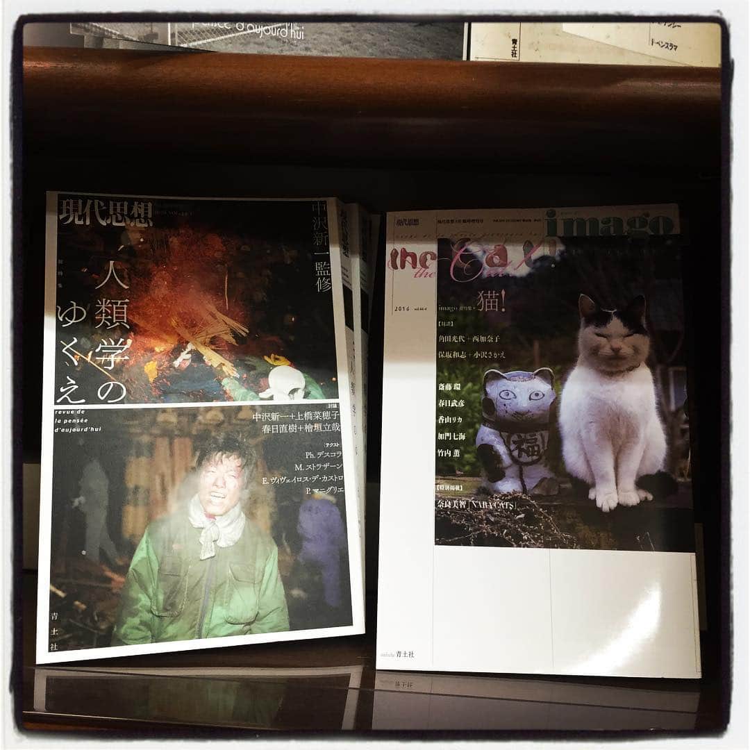 柳下毅一郎さんのインスタグラム写真 - (柳下毅一郎Instagram)「猫か…imagoが…」3月5日 19時05分 - garth_y