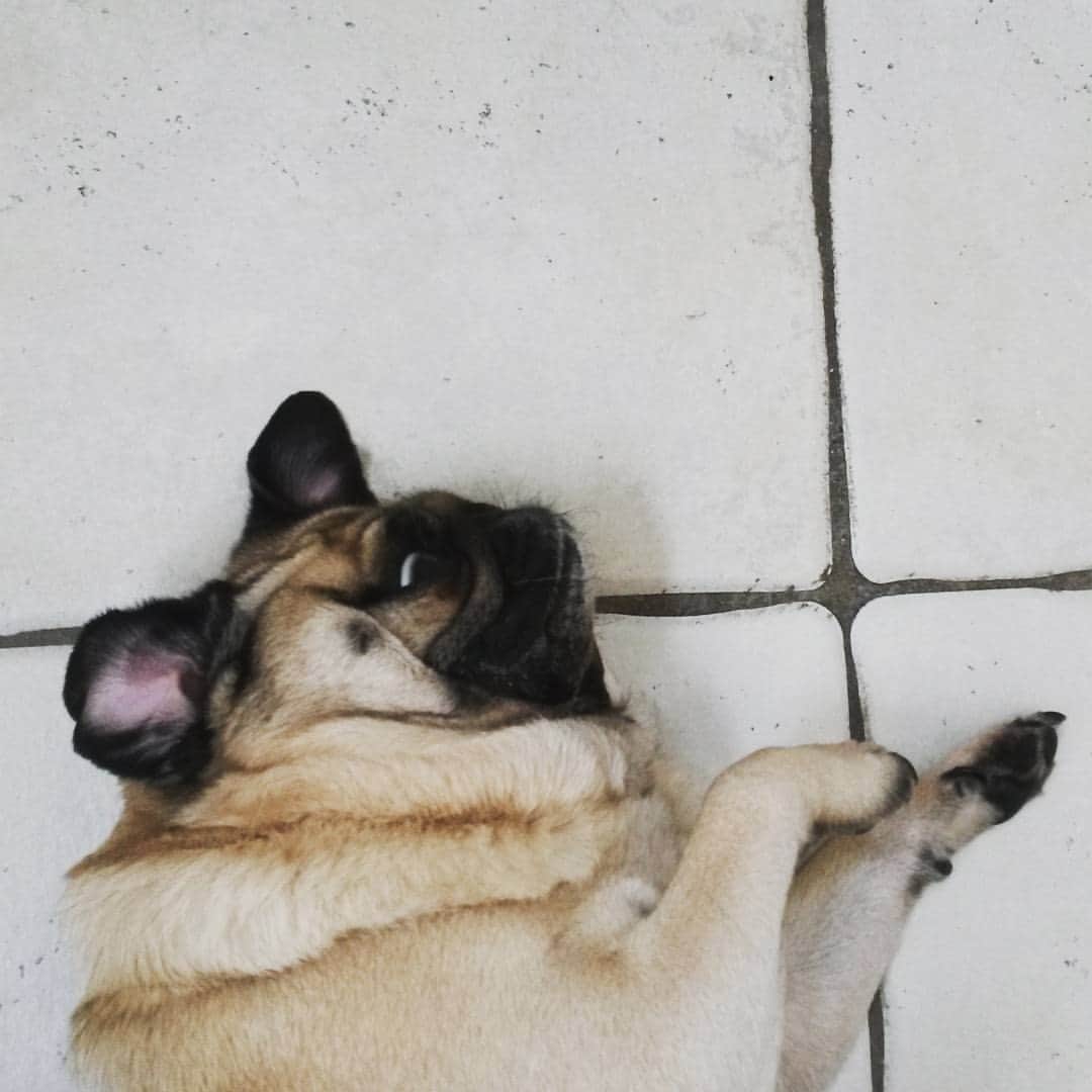 Nolaのインスタグラム：「😄」