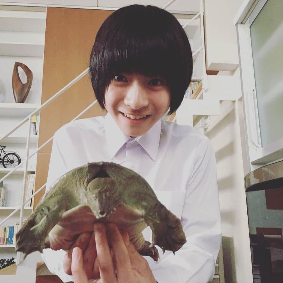 日曜劇場 家族ノカタチさんのインスタグラム写真 - (日曜劇場 家族ノカタチInstagram)「第８話ご覧頂き、ありがとうございます！ 冒頭から陽三節が炸裂してましたね〜( ´ ▽ ` )ﾉ すっぽんを持った彪我くん！ わらび餅をぎゅっとしたような感触だったそう>_< 意外と柔らかい。。。 #家族ノカタチ #髙田彪我 #すっぽん #陽三が心配な人は来週も見てね」3月6日 22時02分 - kazokunokatachi