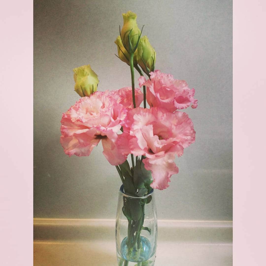 辰巳奈都子さんのインスタグラム写真 - (辰巳奈都子Instagram)「トルコキキョウ🌷大好きな花。 キッチンに仲間入りしました✨  #トルコキキョウ #flower  #love #kitchen」3月10日 0時06分 - tatsumi_natsuko