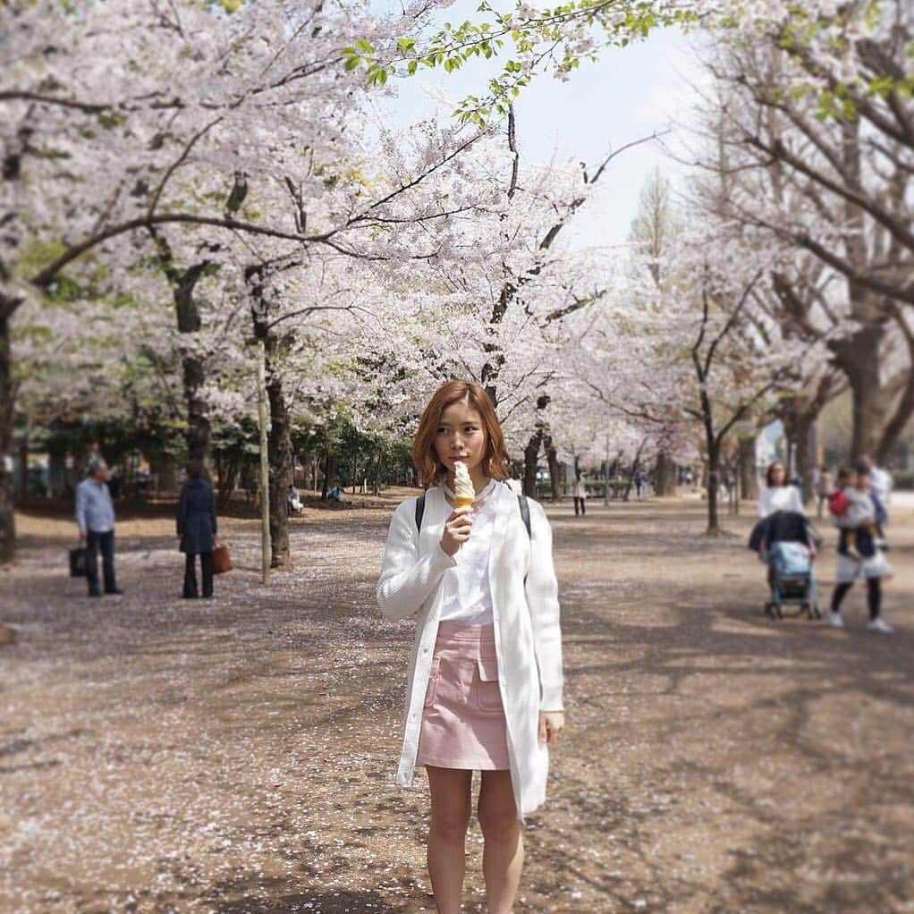 朝日奈央さんのインスタグラム写真 - (朝日奈央Instagram)「桜とわたし👧🏼🌸 桜がいっちばんすき😝💕 アイスの中だったらバニラがいっちばんすき🍦💕 #桜 #わたし #アイス」4月6日 20時37分 - pop_step_asahi
