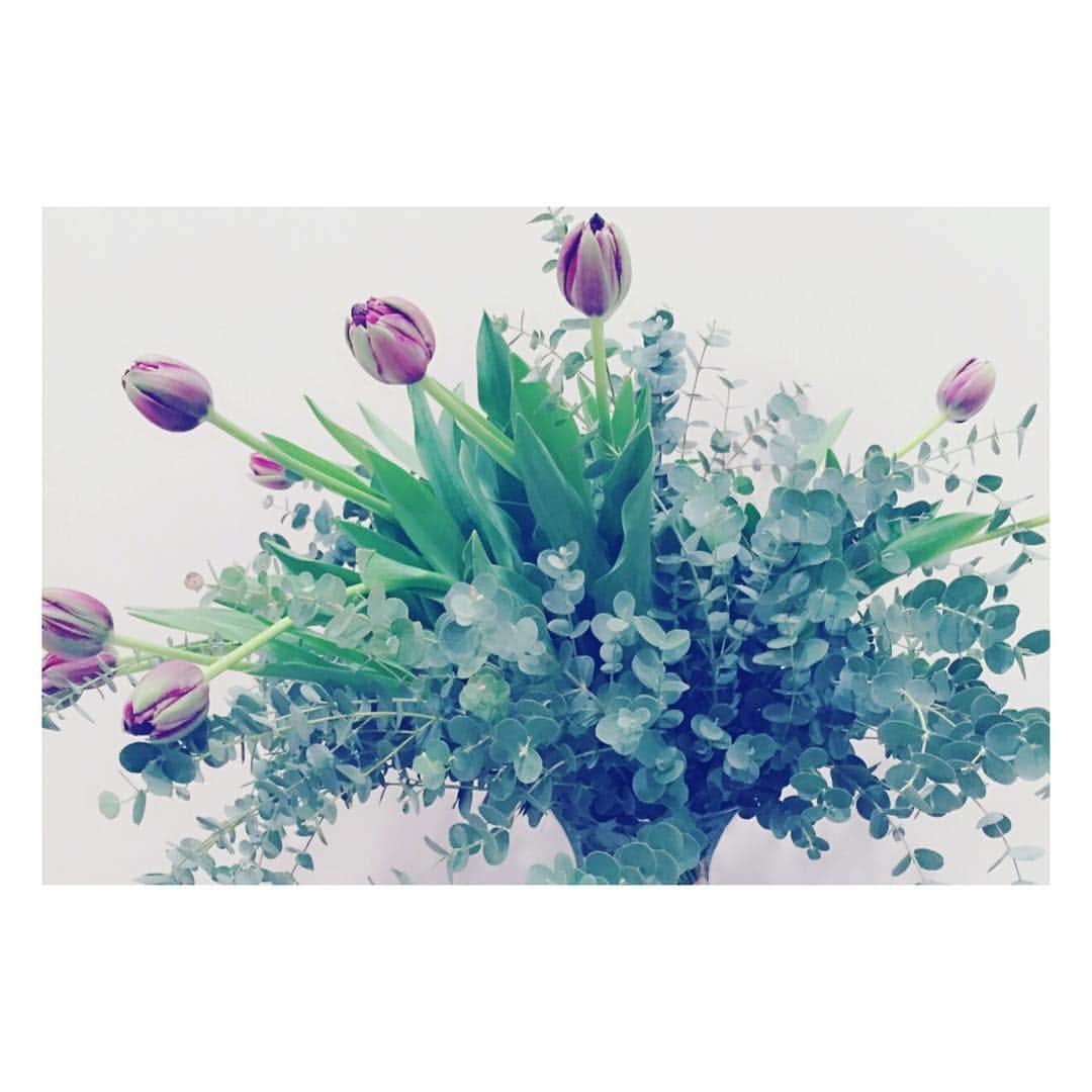 松雪泰子さんのインスタグラム写真 - (松雪泰子Instagram)「癒し🍀 #tulip #flower」4月6日 15時41分 - yasukomatsuyuki_official